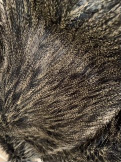 Пиджак из эко-меха