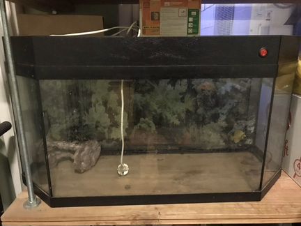 Аквариум