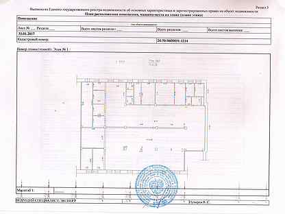 Выписка из егрн с планом