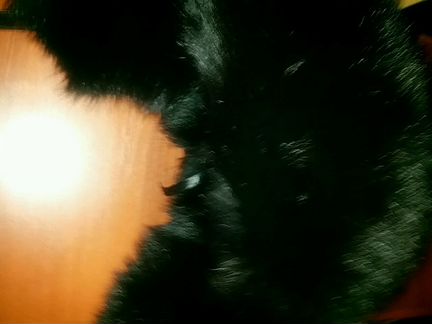 Шапка песец