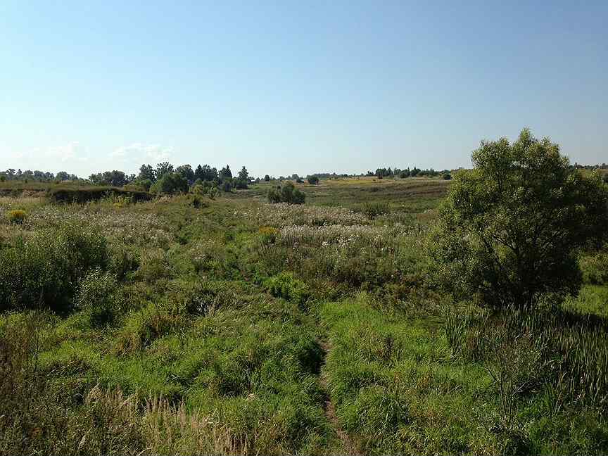 Участки ижс брянск. Стаево брянский район. Пригородная. Участки ижс брянск. Участки ижс брянск.