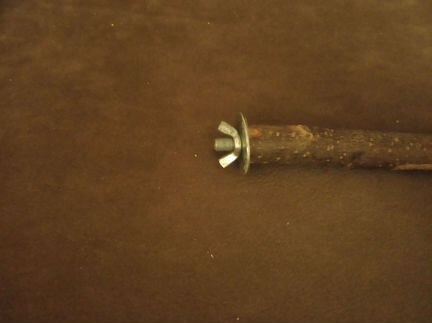 Жердочка д/попугаев дерево